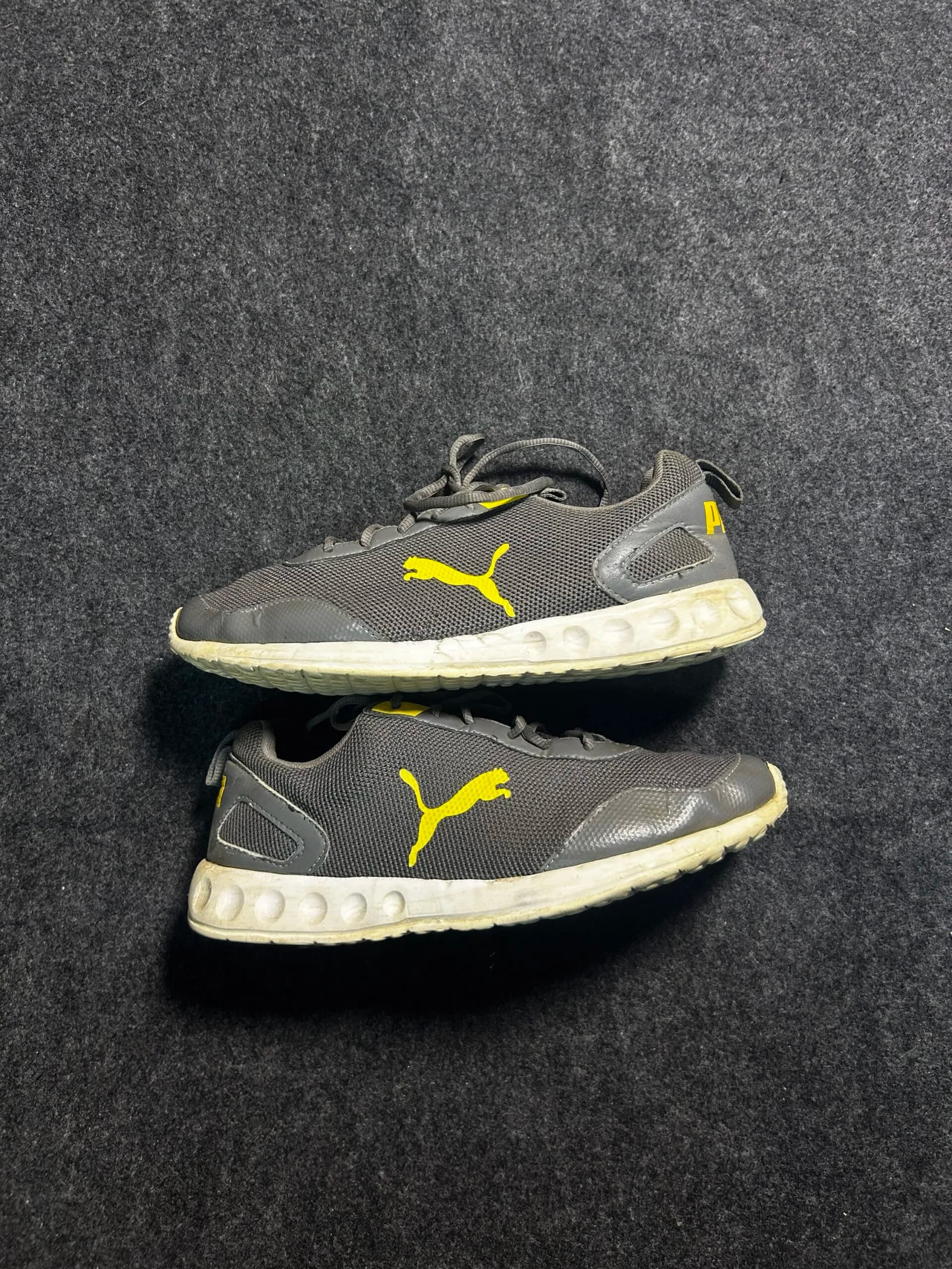 Puma Grey simple front view