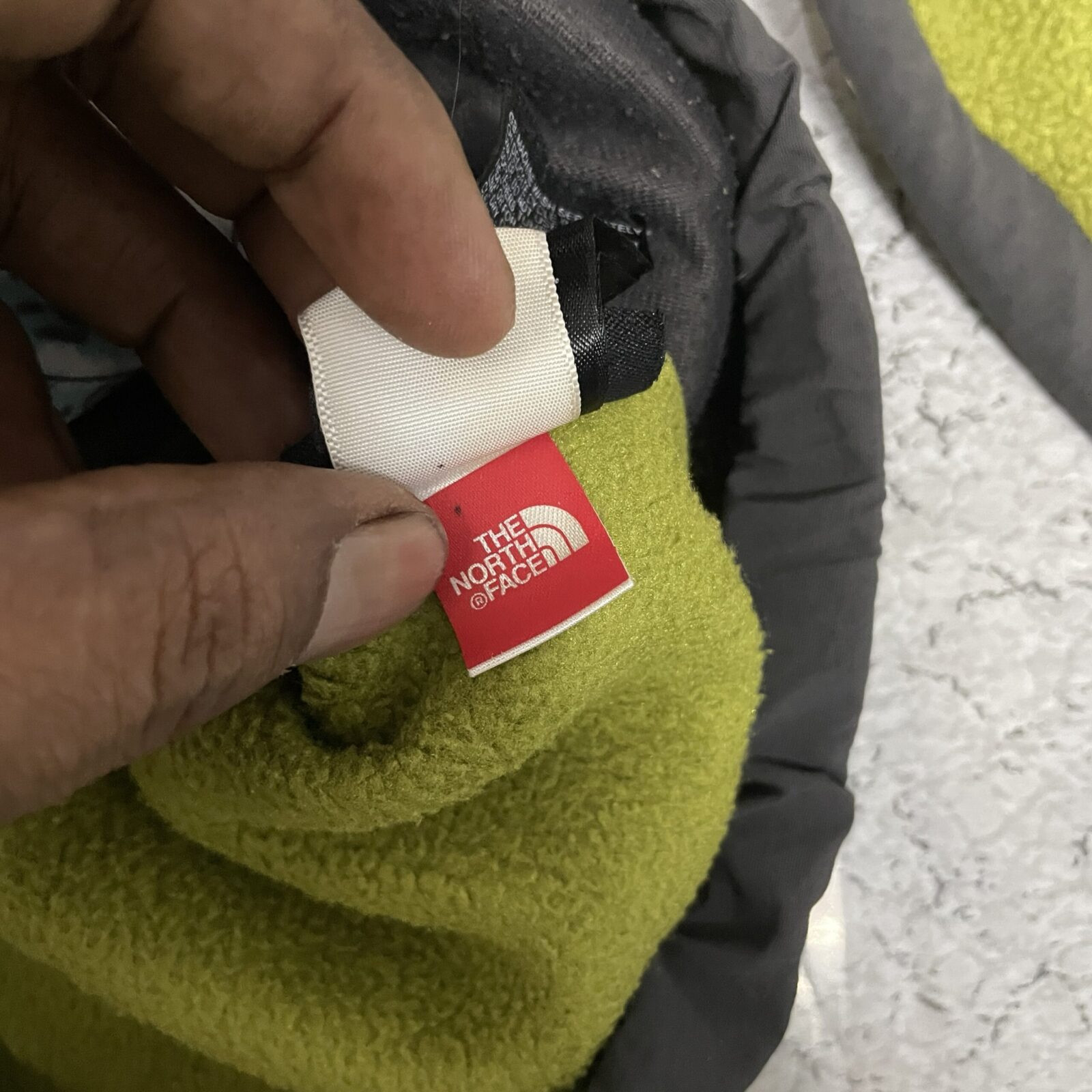 The North Face Jacket back view