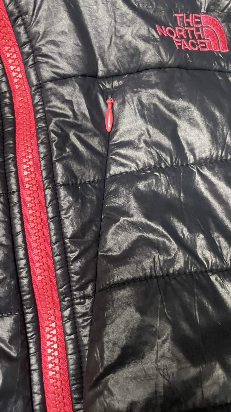 The North Face Black Puffer Jacket back view