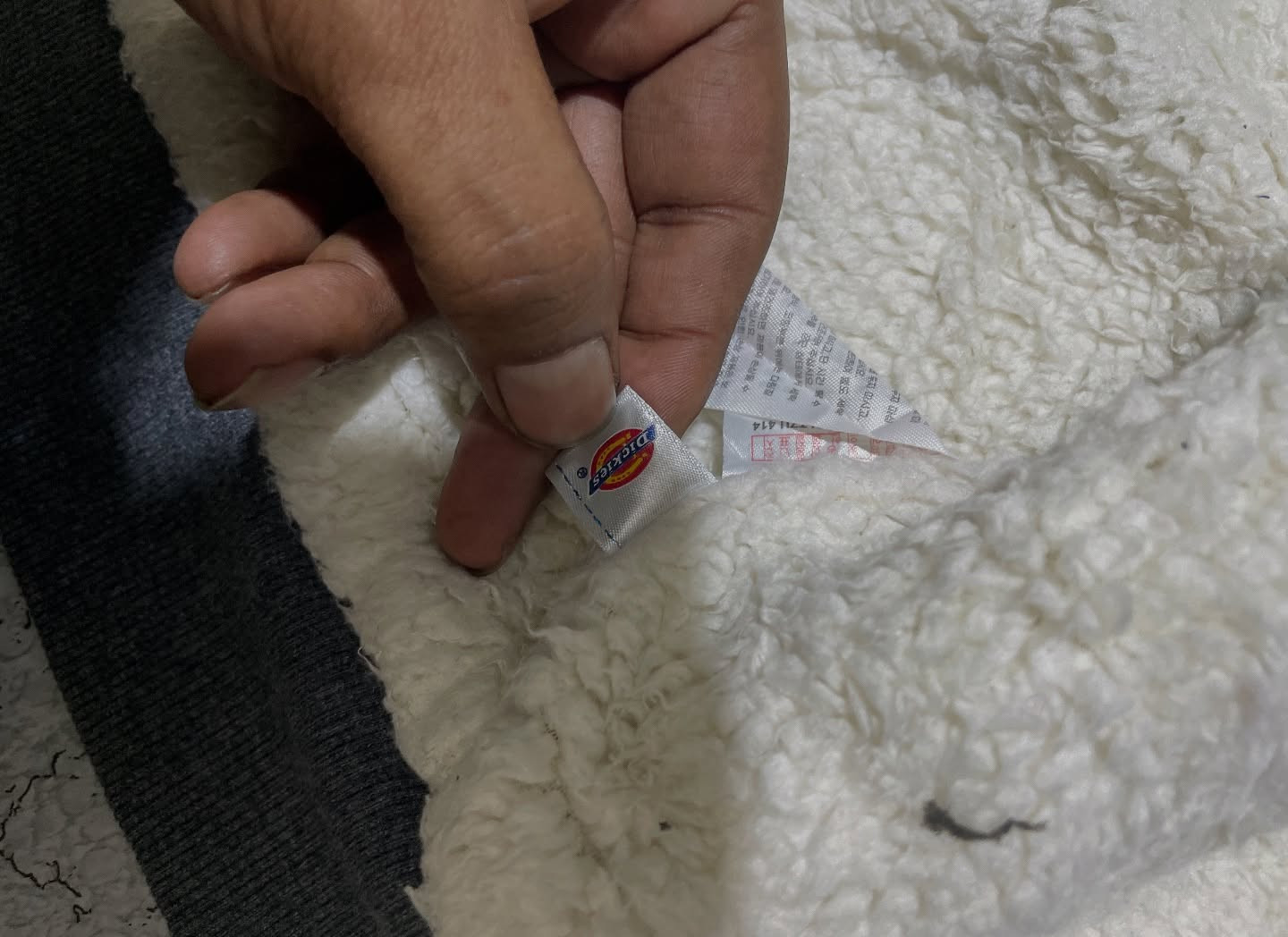 Dickies Hoodie back view