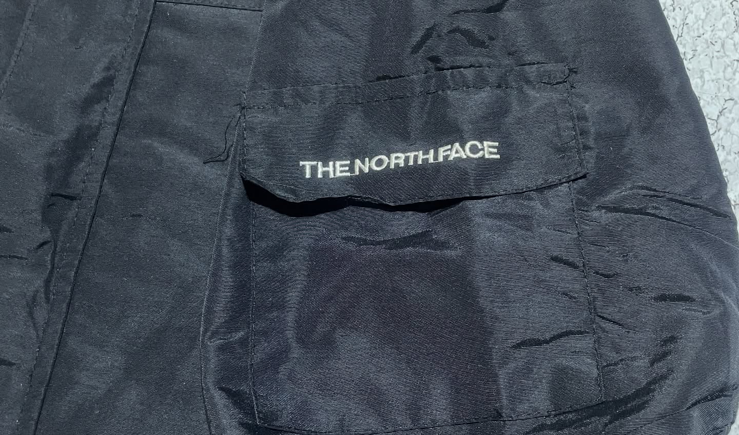 The North Face Black Jacket alternate view