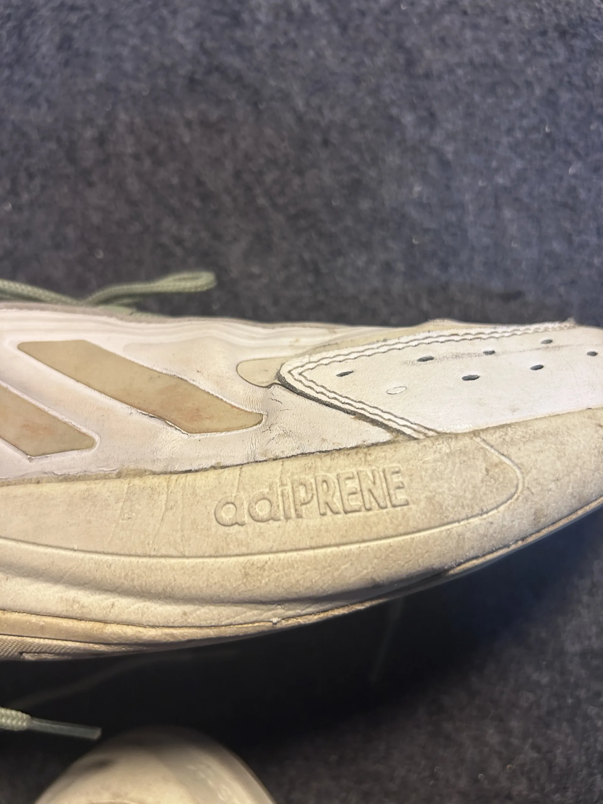Adidas White simple back view