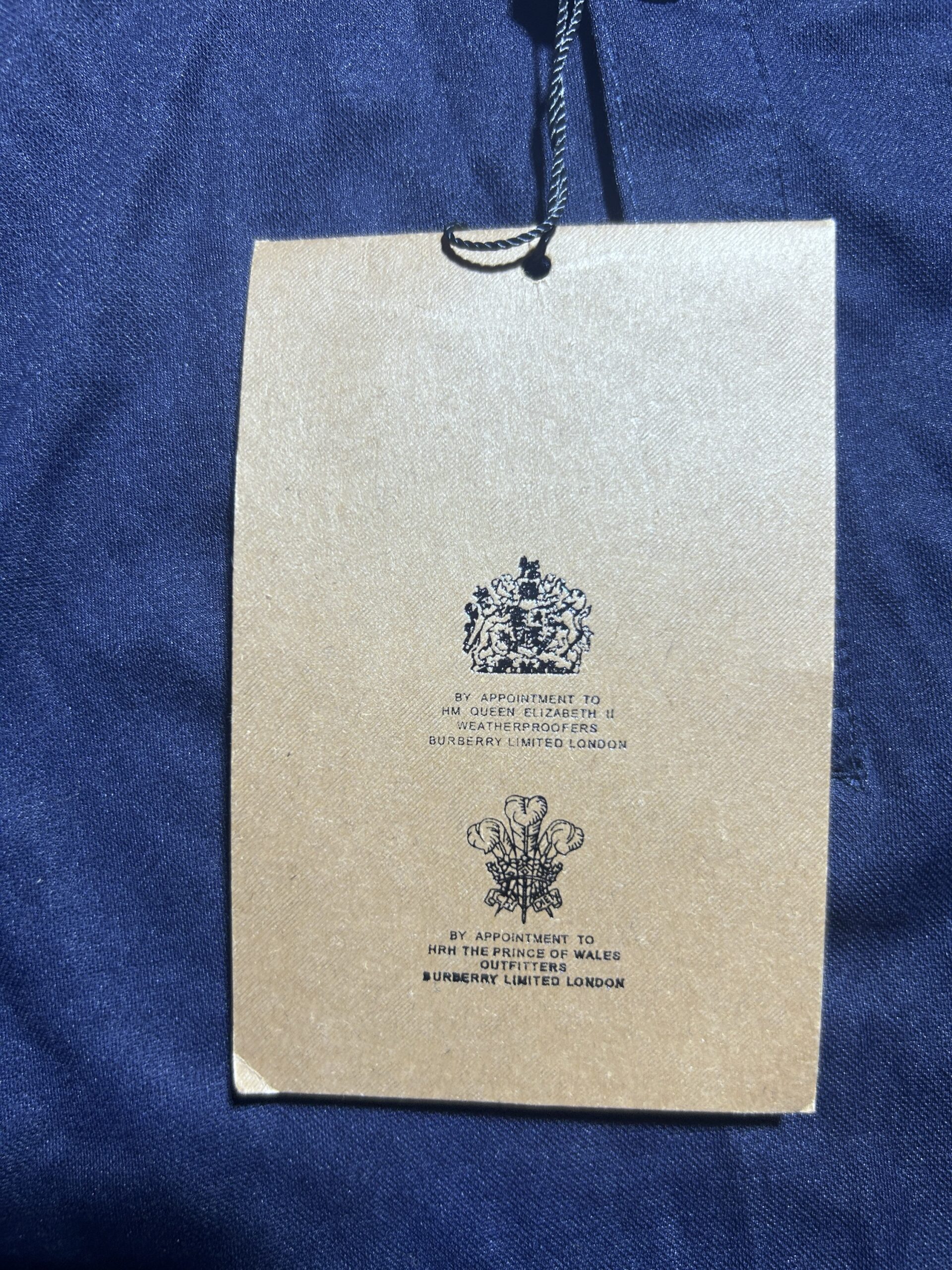 Navy T-Shirt back view