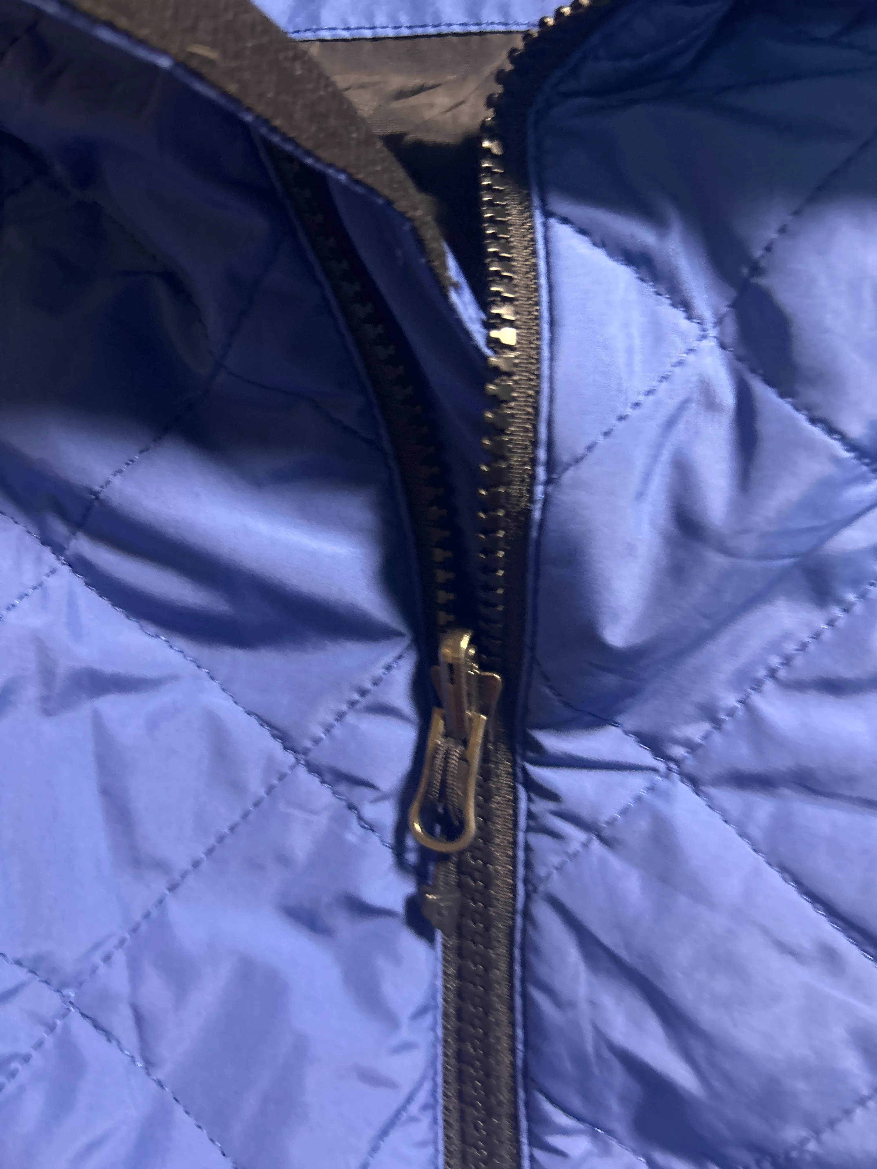 Blue Jacket alternate view