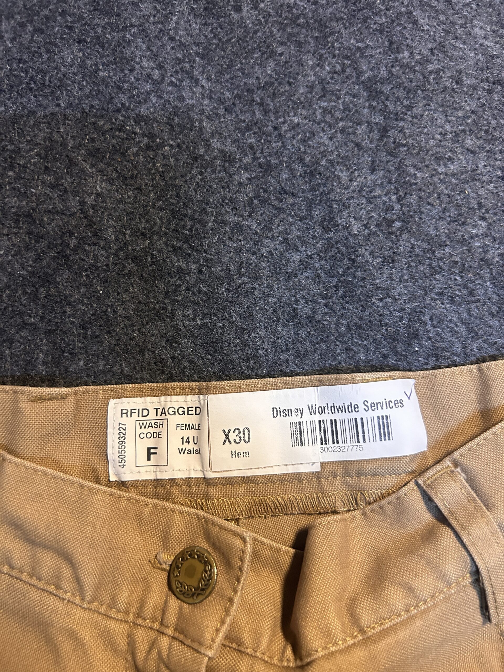 Beige Pants back view