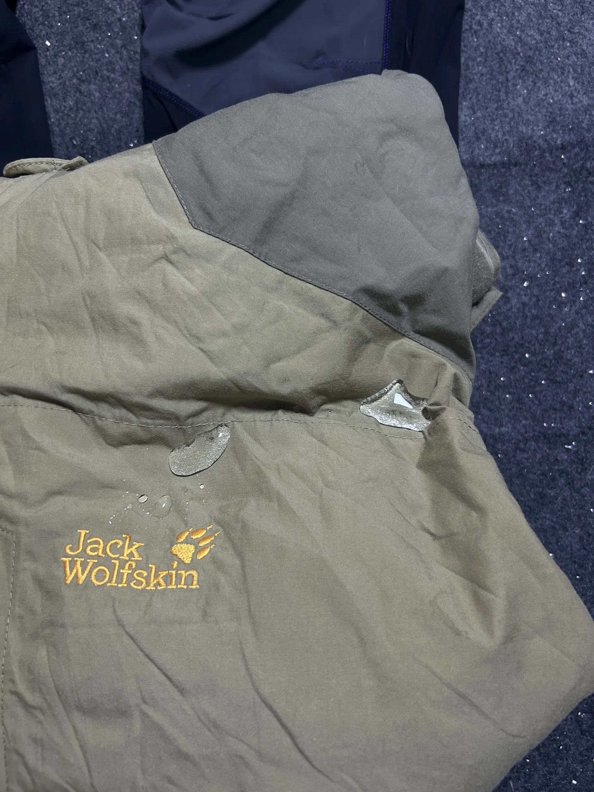 Jack Wolfskin Jacket back view