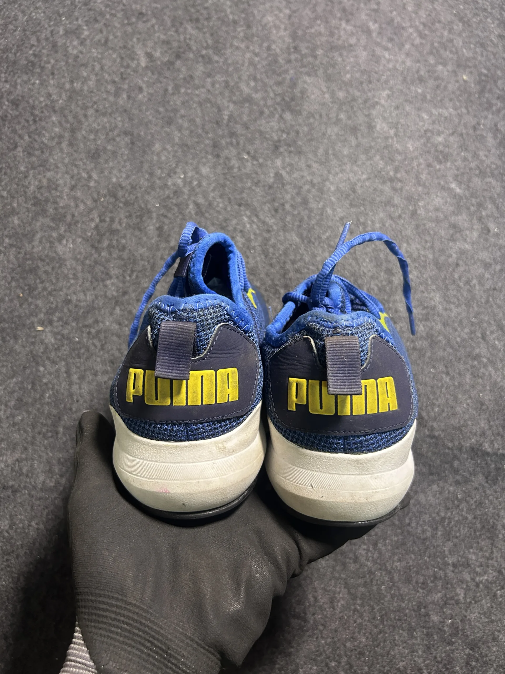 Puma Blue simple back view