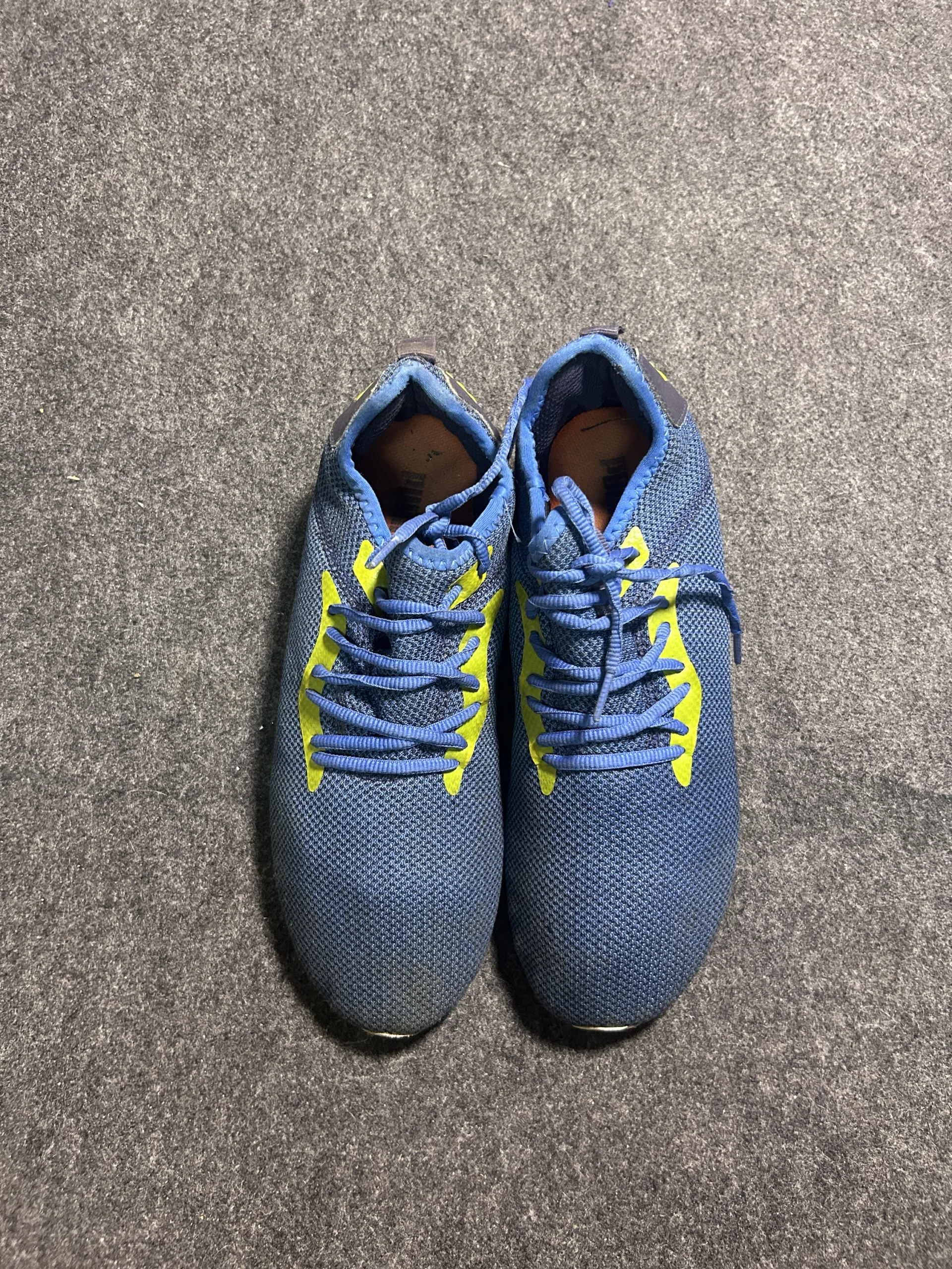 Puma Blue simple alternate view