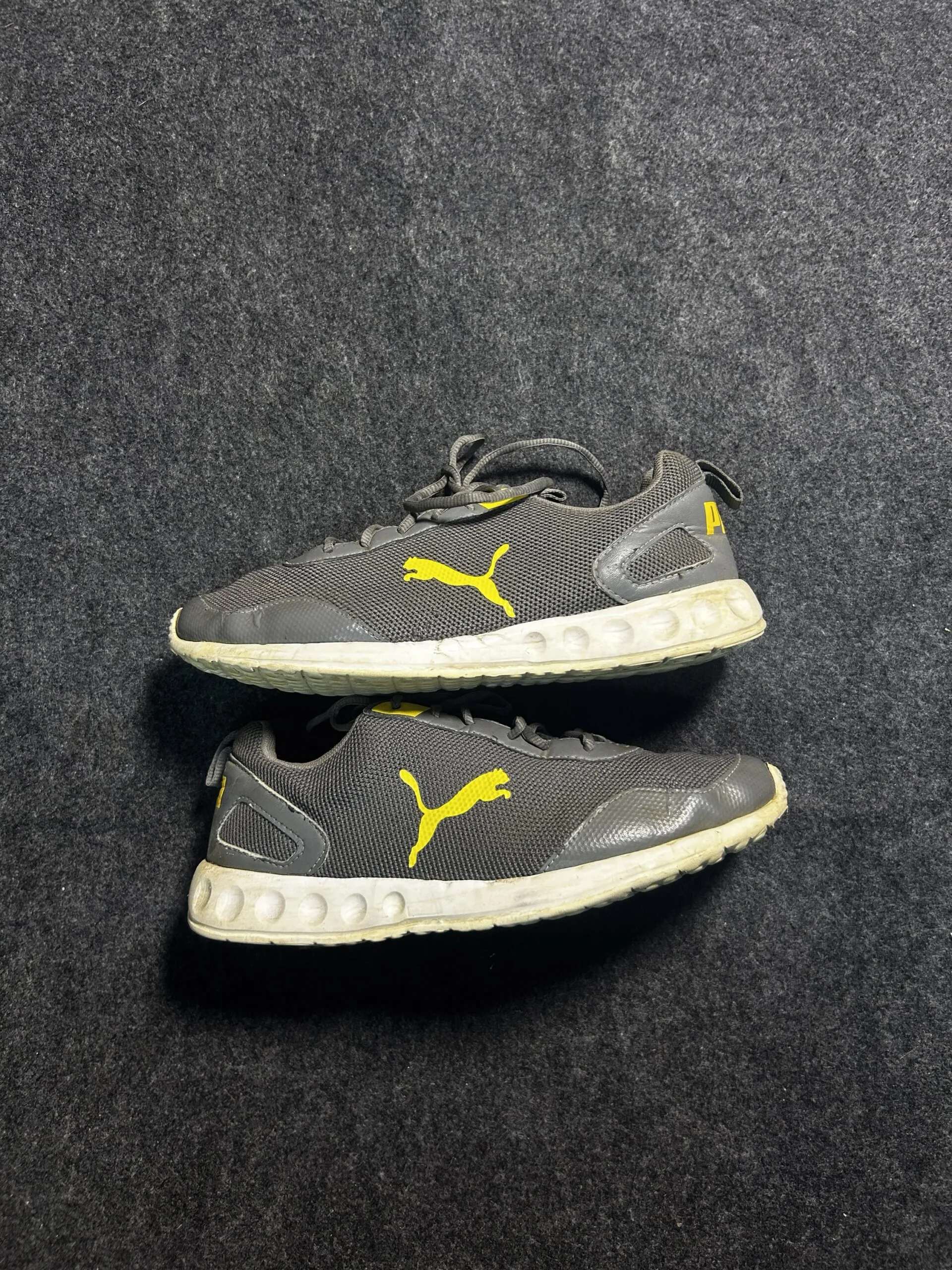 Puma Grey simple front view