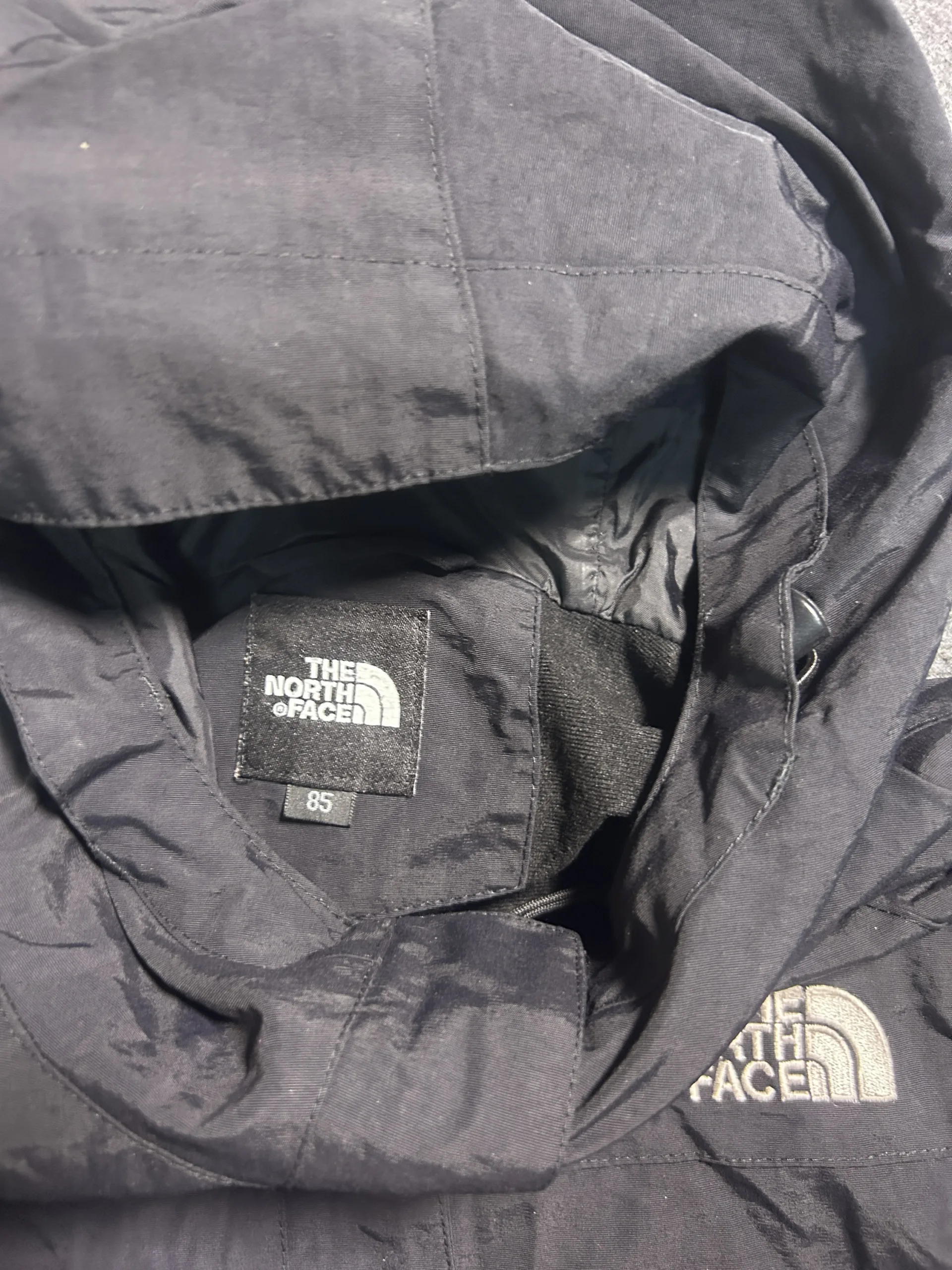The North Face Black Jacket back view