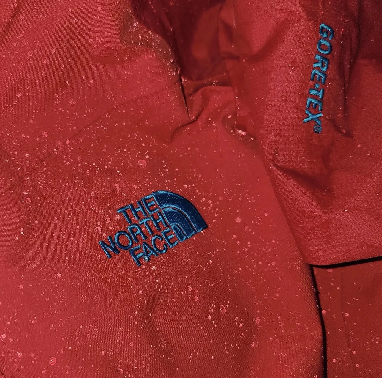The North Face GORE-TEX Red Jacket detail view