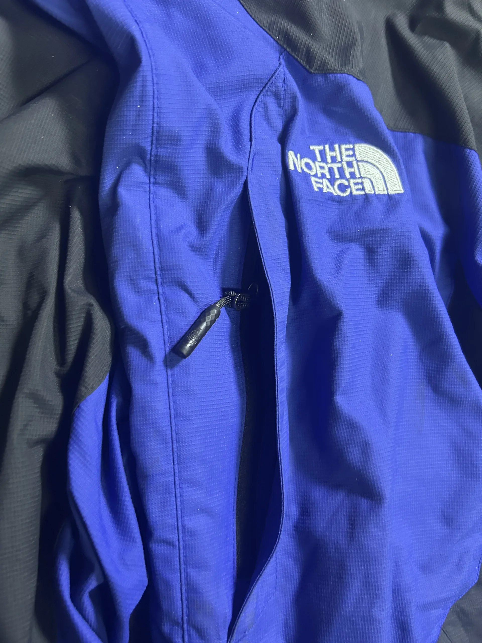 The North Face GORE-TEX Black Jacket back view