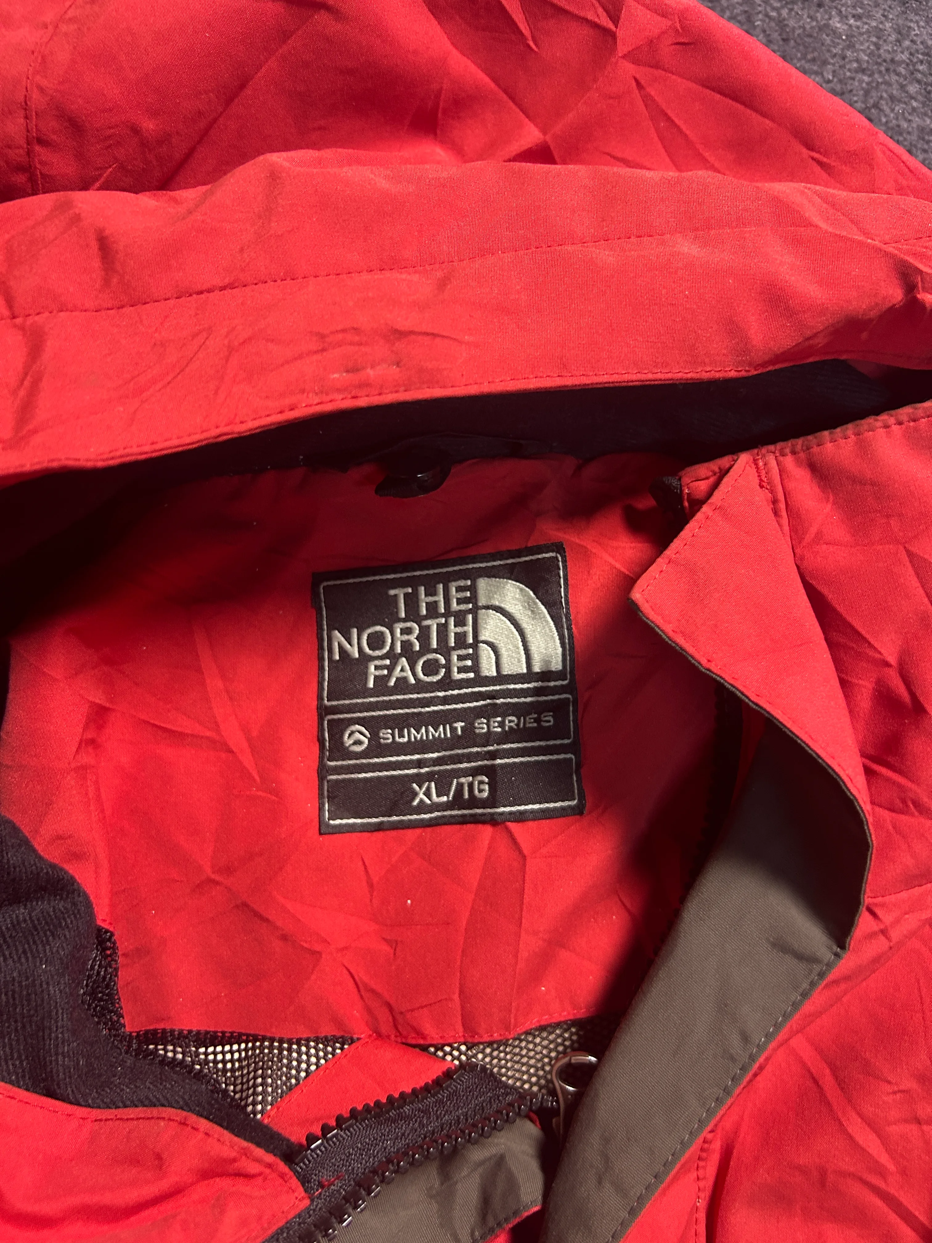 The North Face GORE-TEX Black Jacket back view