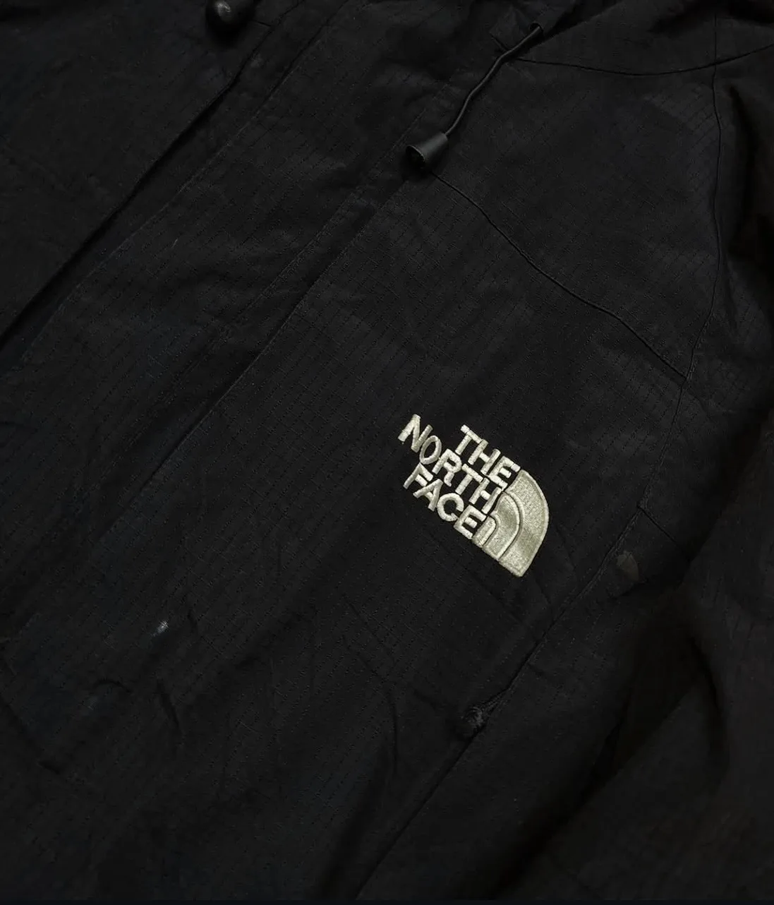 The North Face GORE-TEX Black Jacket back view