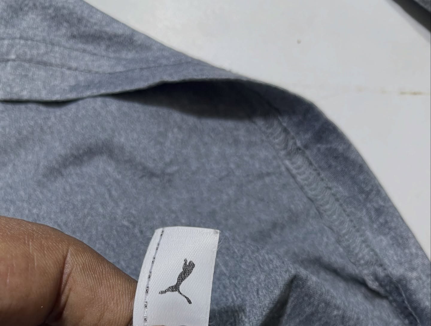 Puma simple back view