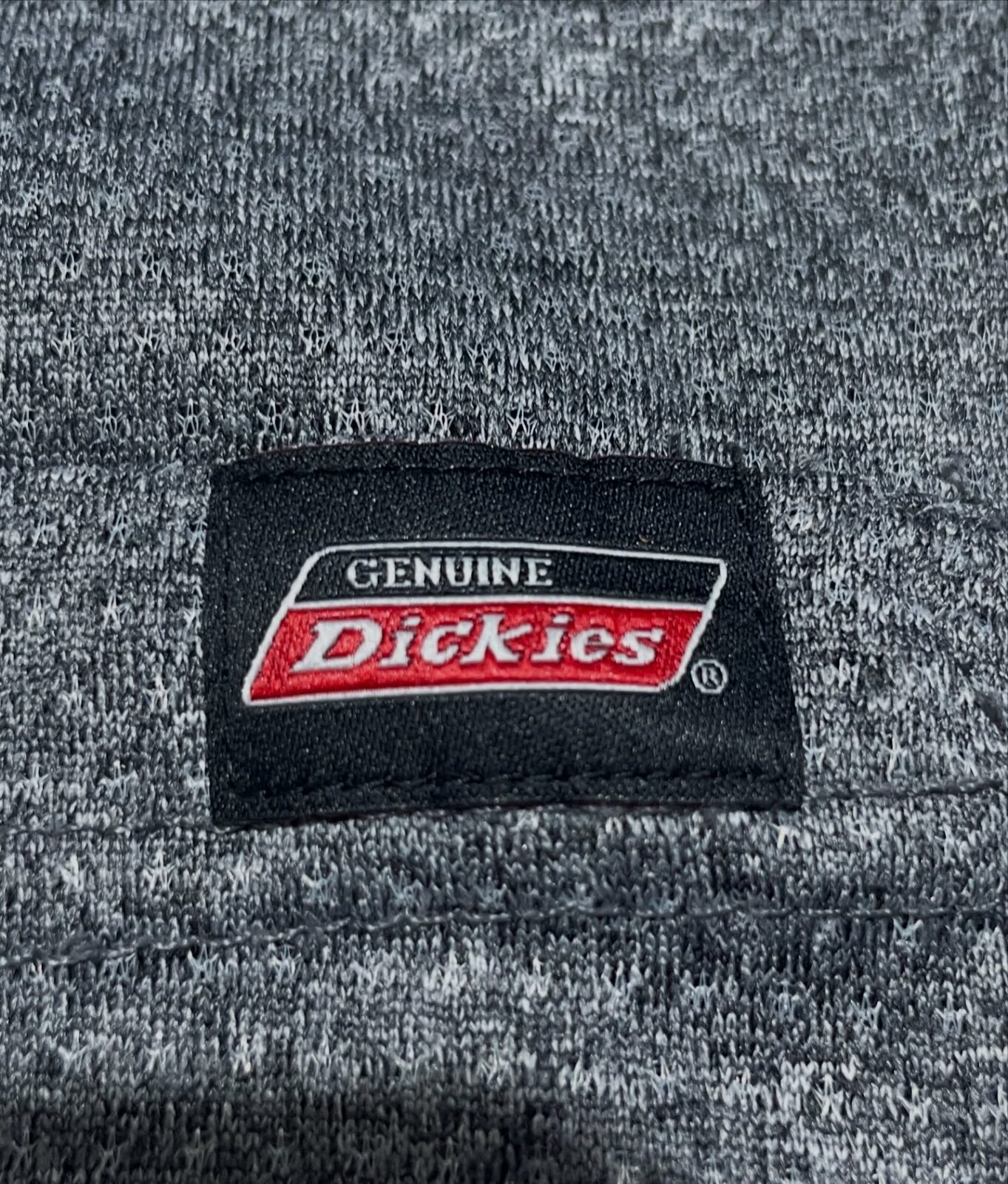 Dickies Grey T-Shirt back view