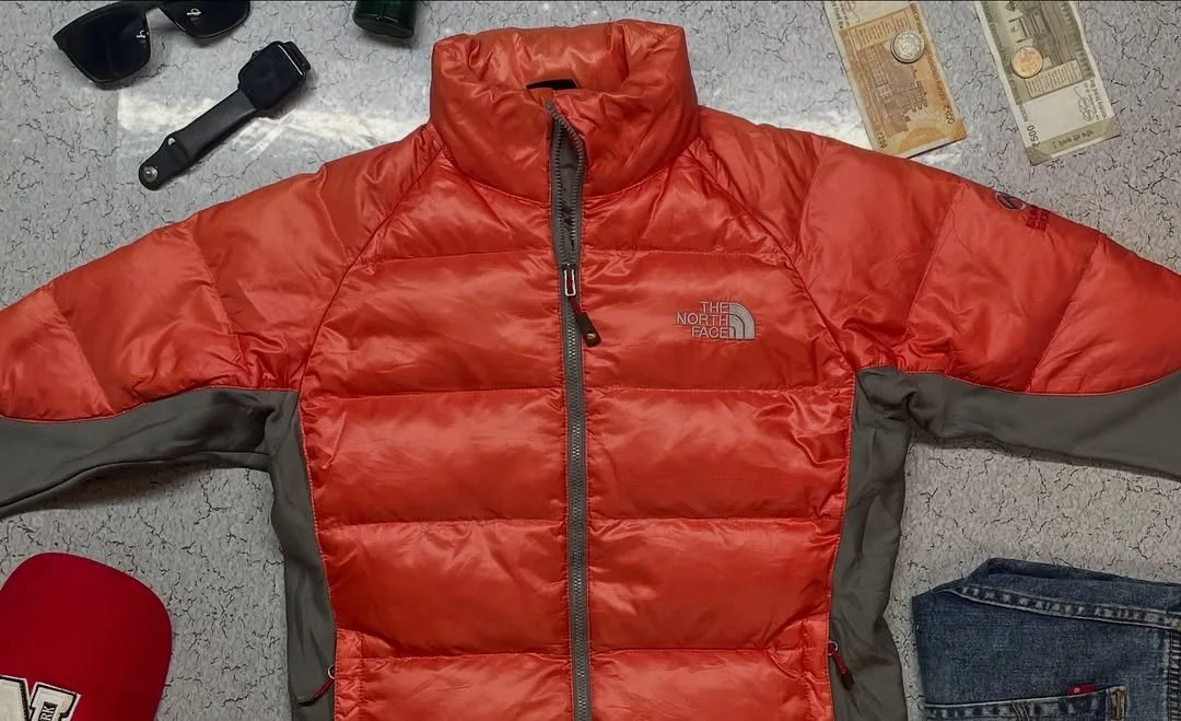 The North Face Jacket back view