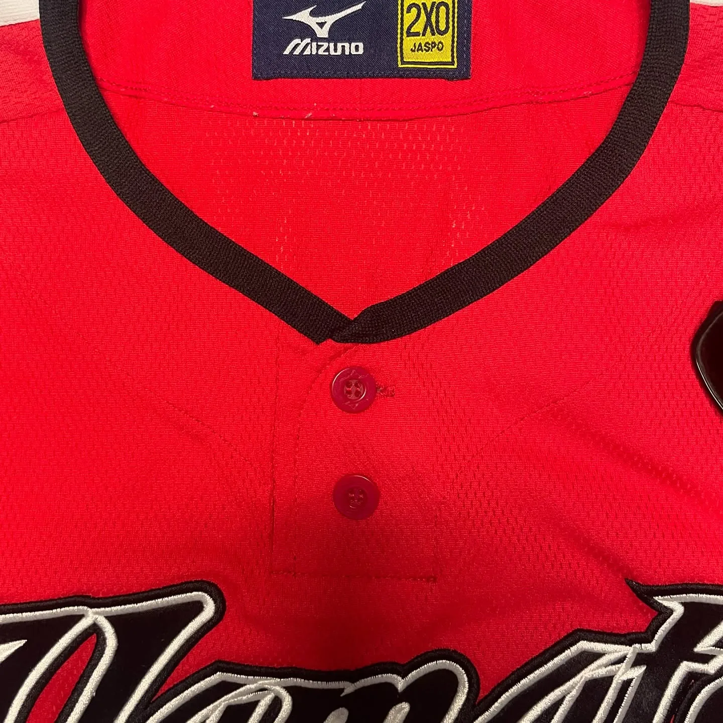 Red Jersey back view