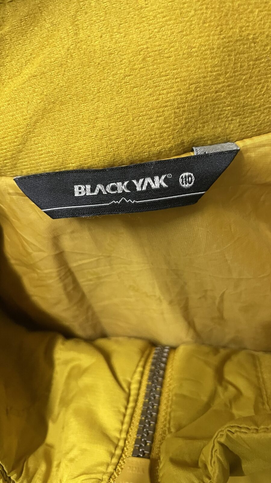 Yellow Jacket back view