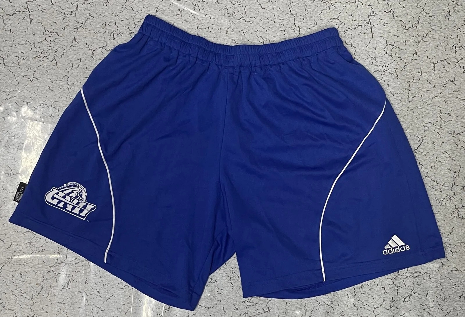 Adidas Blue Shorts front view