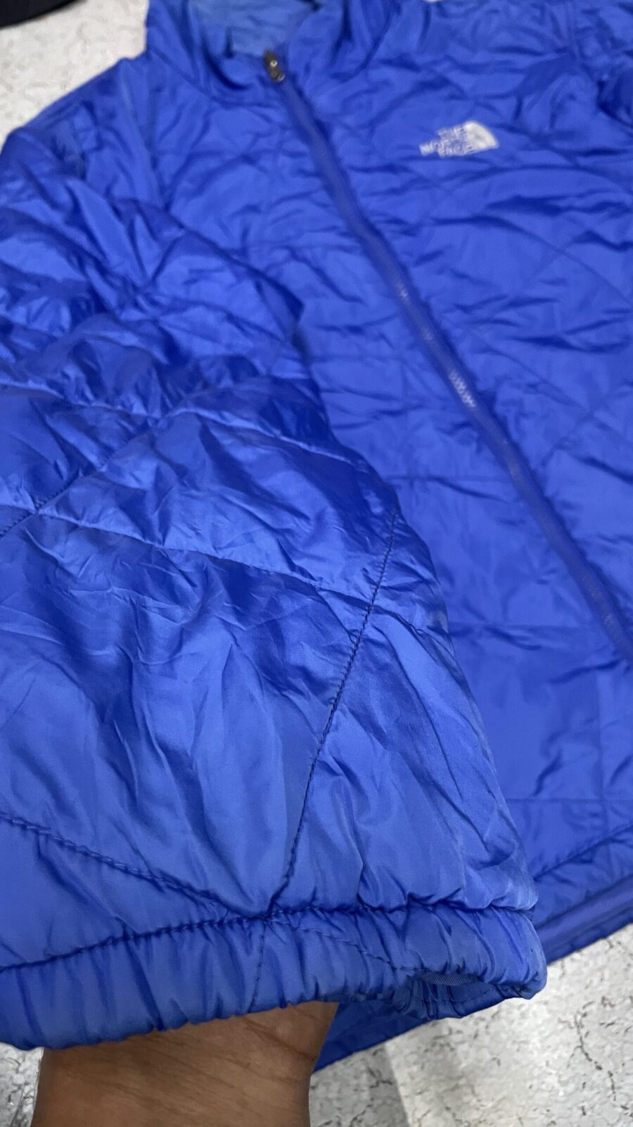 The North Face Blue Puffer Jacket back view