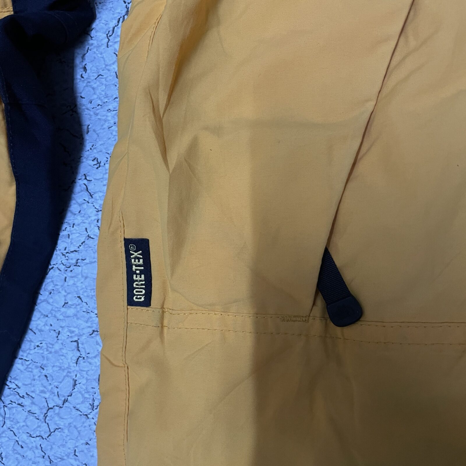 The North Face GORE-TEX Yellow Jacket back view