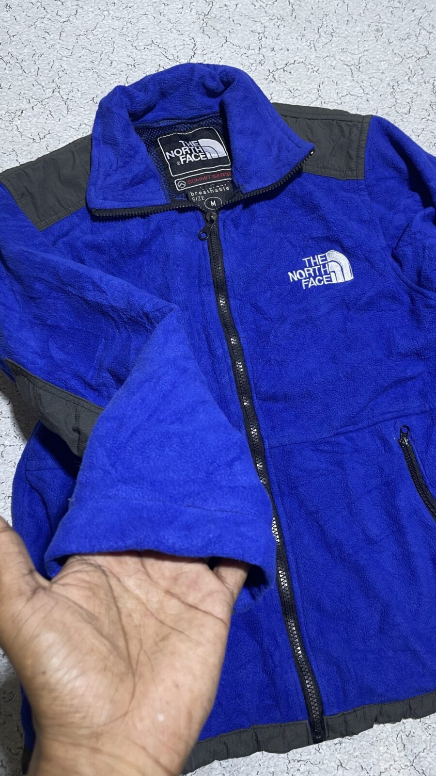 The North Face Blue Fleece Jacket back view