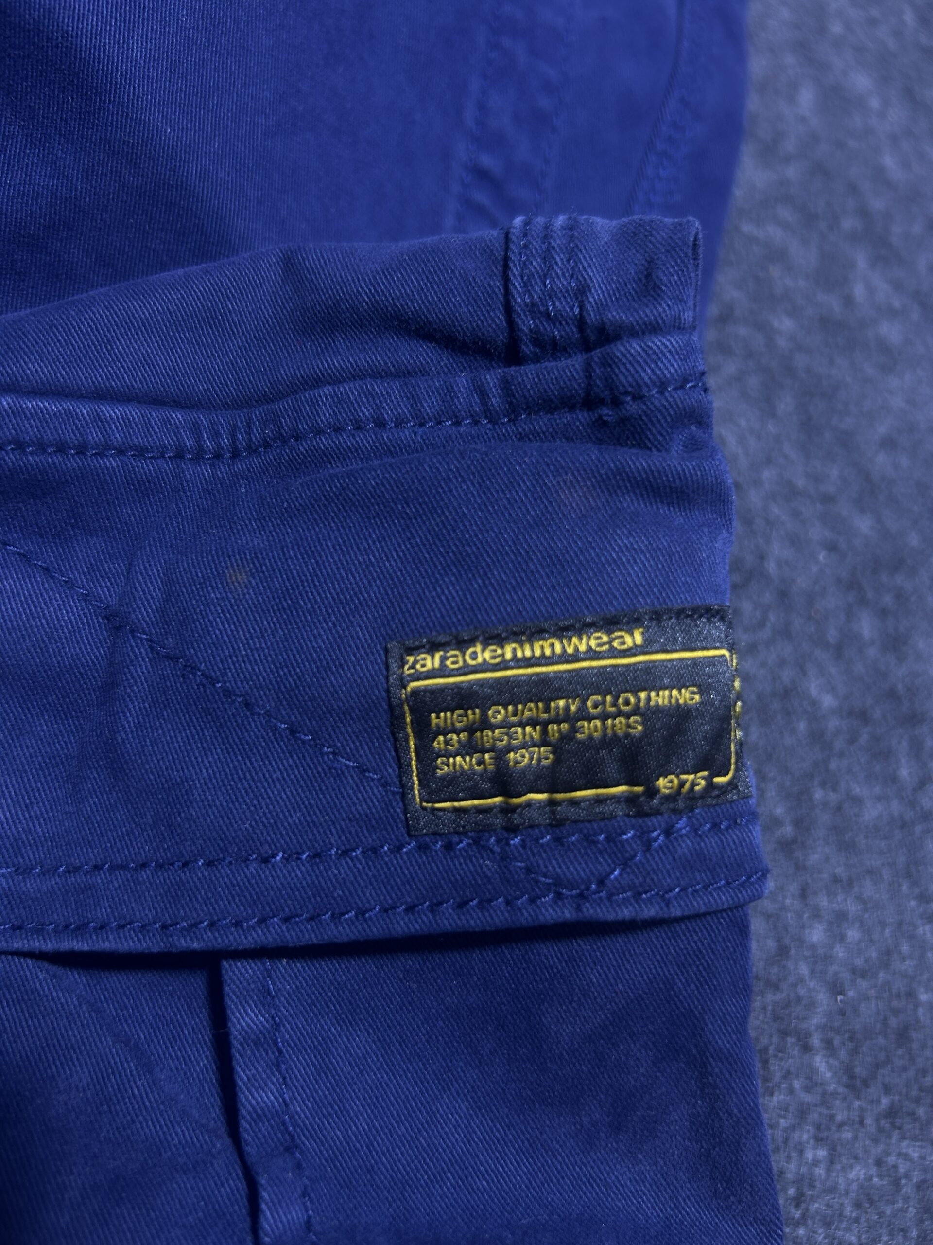 Zara Navy Cargo Pants back view